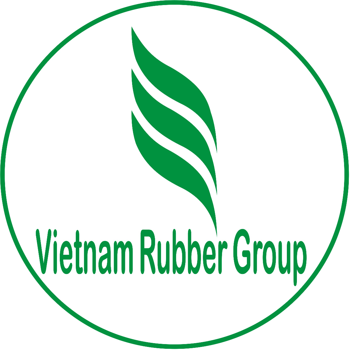 logo_VRG4